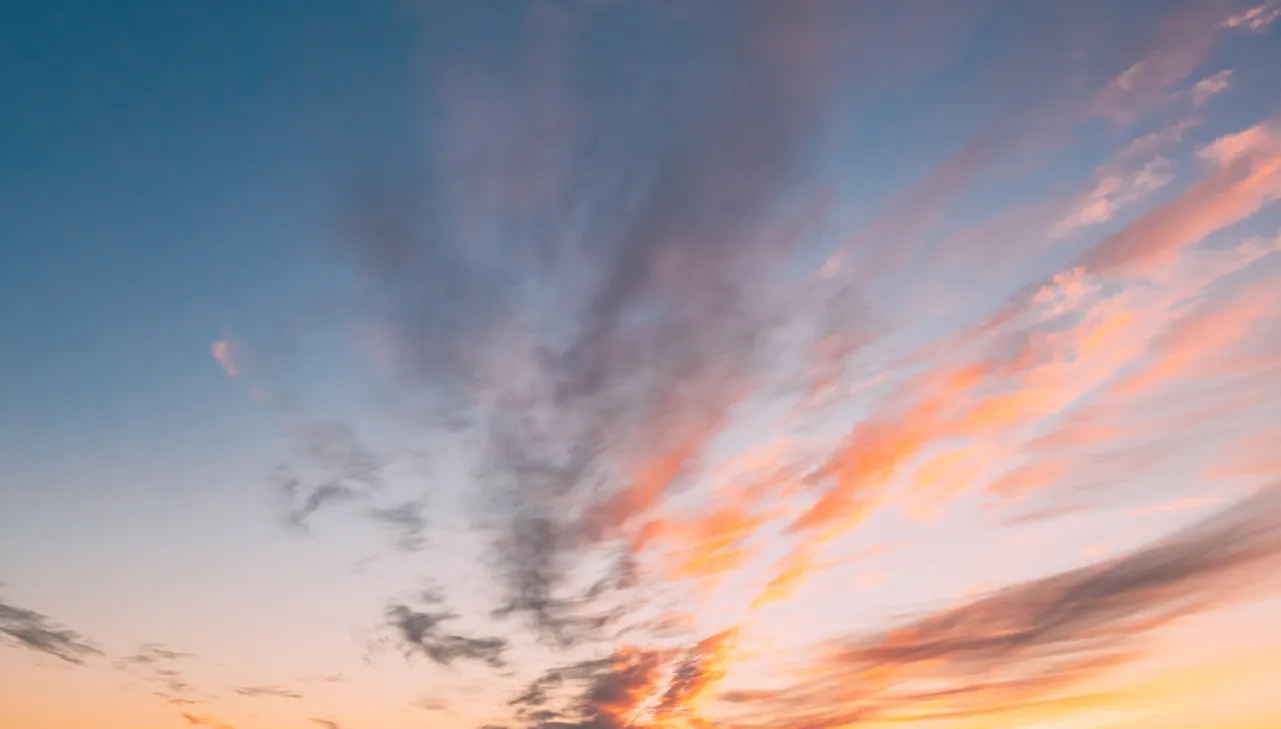 Driving Customer Success with the Catalyst Program: A Case Study