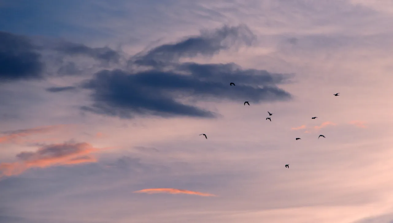 Introducing Enhanced Incentives for AWS Migration Acceleration Program (MAP)